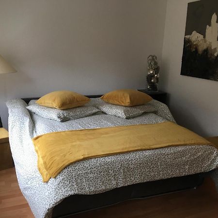 La Sinne Appartement 2 Pieces Avec Garage Mulhouse Exterior foto
